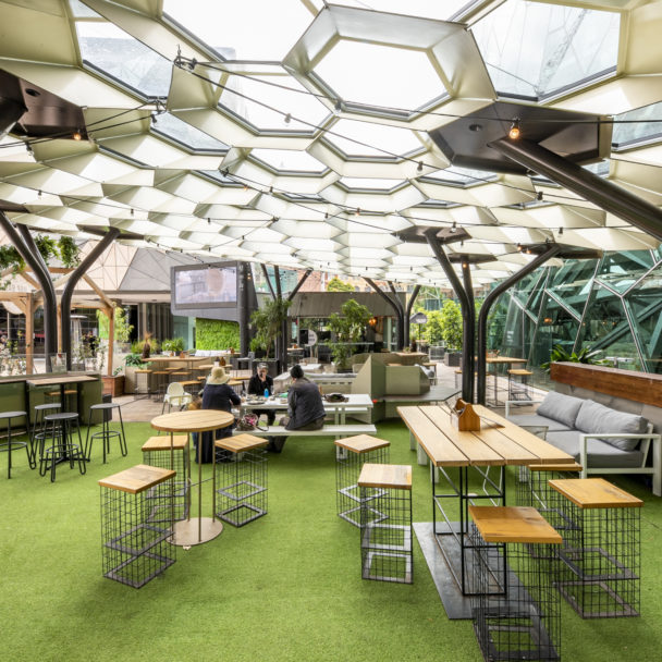 Beer Deluxe Fed Square Hop Garden