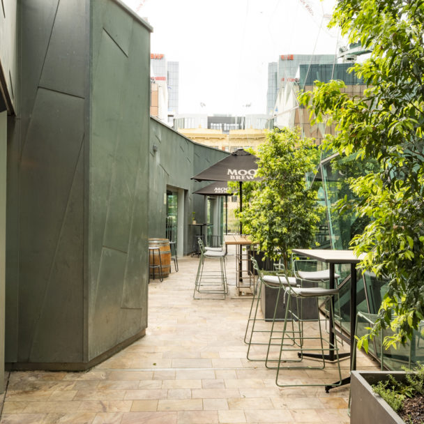Beer Deluxe Fed Square Hop Garden