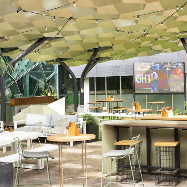 Beer Deluxe Fed Square Hop Garden